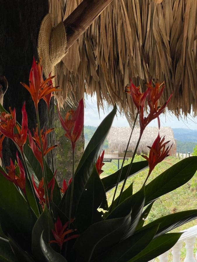 La Manola Finca Hotel Doradal Zewnętrze zdjęcie
